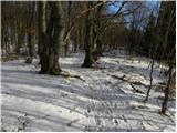 Trojane - Črni vrh (Čemšeniška planina)